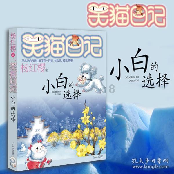 R.D.MATHIS Crucibles C1 陶瓷坩埚氧化铝材料